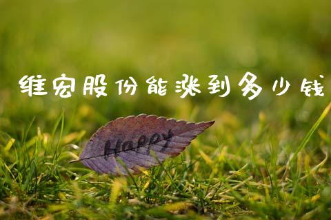 维宏股份能涨到多少钱_https://www.lcjysmgs.com_恒生指数直播_第1张