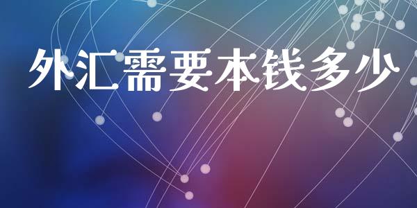 外汇需要本钱多少_https://www.lcjysmgs.com_恒生指数直播_第1张