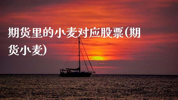 期货里的小麦对应股票(期货小麦)_https://www.lcjysmgs.com_恒生指数直播_第1张