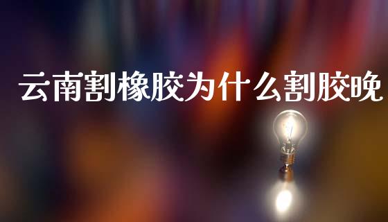 云南割橡胶为什么割胶晚_https://www.lcjysmgs.com_德指行情直播_第1张