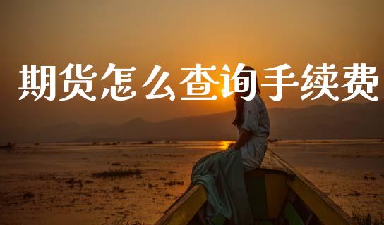 期货怎么查询手续费_https://www.lcjysmgs.com_德指行情直播_第1张