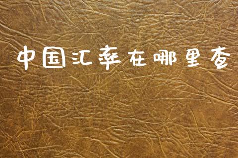 中国汇率在哪里查_https://www.lcjysmgs.com_恒指直播平台_第1张