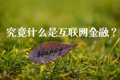 究竟什么是互联网金融？_https://www.lcjysmgs.com_黄金期货直播喊单_第1张