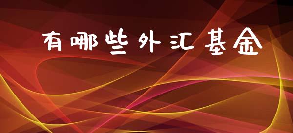 有哪些外汇基金_https://www.lcjysmgs.com_恒指直播平台_第1张