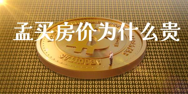 孟买房价为什么贵_https://www.lcjysmgs.com_黄金期货直播喊单_第1张