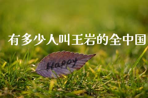 有多少人叫王岩的全中国_https://www.lcjysmgs.com_恒生指数直播_第1张