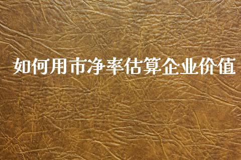 如何用市净率估算企业价值_https://www.lcjysmgs.com_德指行情直播_第1张