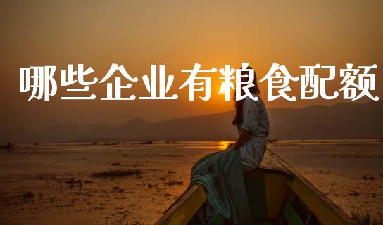 哪些企业有粮食配额_https://www.lcjysmgs.com_黄金期货直播喊单_第1张