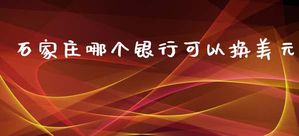 石家庄哪个银行可以换美元_https://www.lcjysmgs.com_恒生指数直播_第1张