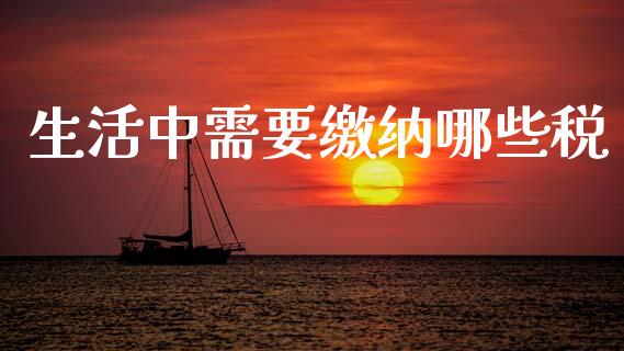 生活中需要缴纳哪些税_https://www.lcjysmgs.com_黄金期货直播喊单_第1张