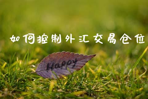 如何控制外汇交易仓位_https://www.lcjysmgs.com_德指行情直播_第1张