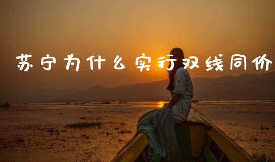苏宁为什么实行双线同价_https://www.lcjysmgs.com_德指行情直播_第1张