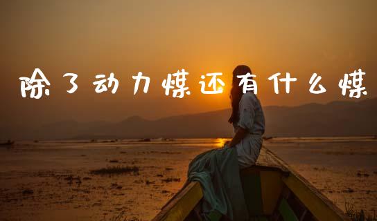 除了动力煤还有什么煤_https://www.lcjysmgs.com_黄金期货直播喊单_第1张