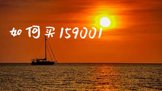 如何买159001_https://www.lcjysmgs.com_恒指直播平台_第1张