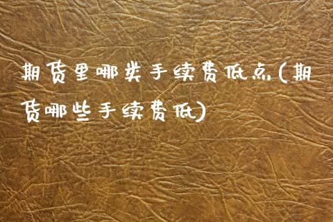 期货里哪类手续费低点(期货哪些手续费低)_https://www.lcjysmgs.com_德指行情直播_第1张