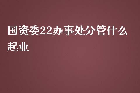 国资委22办事处分管什么起业_https://www.lcjysmgs.com_恒生指数直播_第1张
