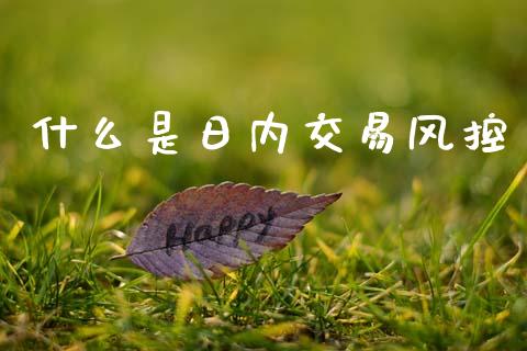 什么是日内交易风控_https://www.lcjysmgs.com_恒生指数直播_第1张