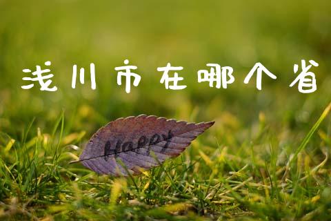 浅川市在哪个省_https://www.lcjysmgs.com_德指行情直播_第1张