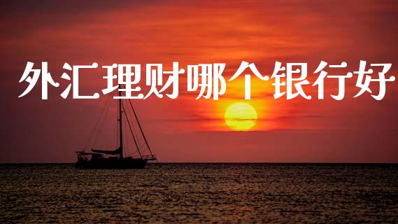 外汇理财哪个银行好_https://www.lcjysmgs.com_恒指直播平台_第1张
