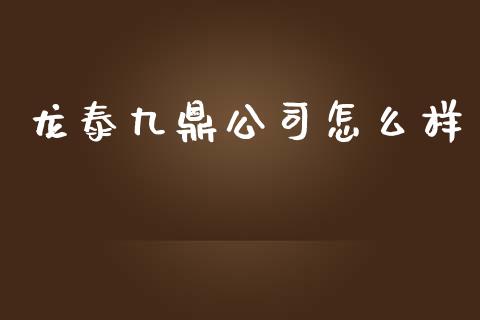龙泰九鼎公司怎么样_https://www.lcjysmgs.com_德指行情直播_第1张
