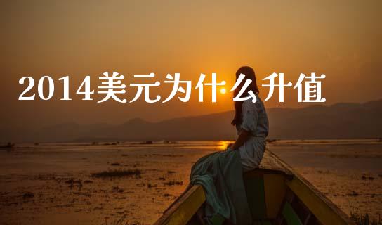 2014美元为什么升值_https://www.lcjysmgs.com_恒生指数直播_第1张
