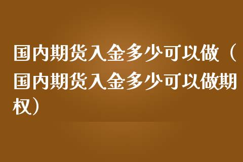 国内期货入金多少可以做（国内期货入金多少可以做期权）_https://www.lcjysmgs.com_德指行情直播_第1张