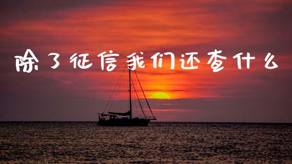 除了征信我们还查什么_https://www.lcjysmgs.com_德指行情直播_第1张