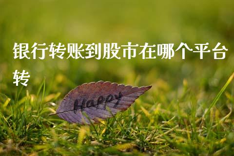 银行转账到股市在哪个平台转_https://www.lcjysmgs.com_恒生指数直播_第1张