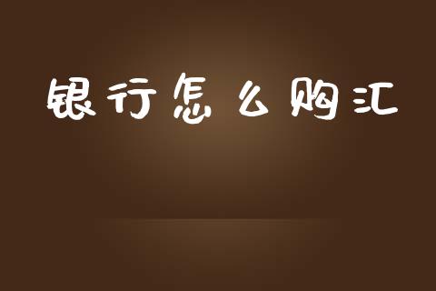 银行怎么购汇_https://www.lcjysmgs.com_恒生指数直播_第1张