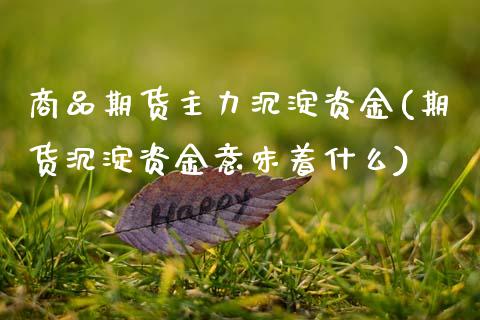 商品期货主力沉淀资金(期货沉淀资金意味着什么)_https://www.lcjysmgs.com_恒生指数直播_第1张