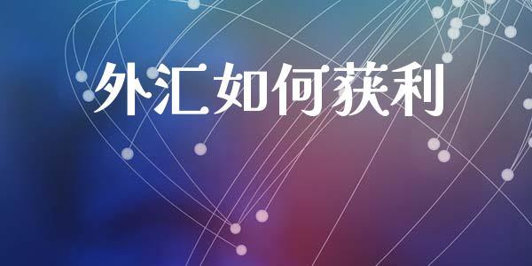 外汇如何获利_https://www.lcjysmgs.com_恒生指数直播_第1张