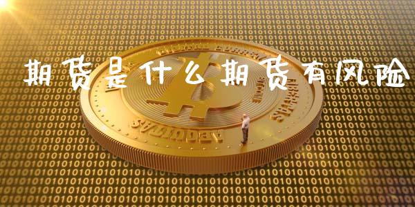 期货是什么期货有风险_https://www.lcjysmgs.com_恒指直播平台_第1张