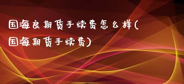 国海良期货手续费怎么样(国海期货手续费)_https://www.lcjysmgs.com_德指行情直播_第1张