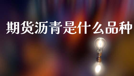 期货沥青是什么品种_https://www.lcjysmgs.com_黄金期货直播喊单_第1张