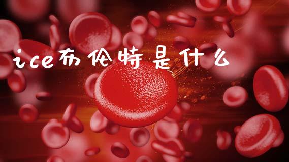 ice布伦特是什么_https://www.lcjysmgs.com_恒生指数直播_第1张