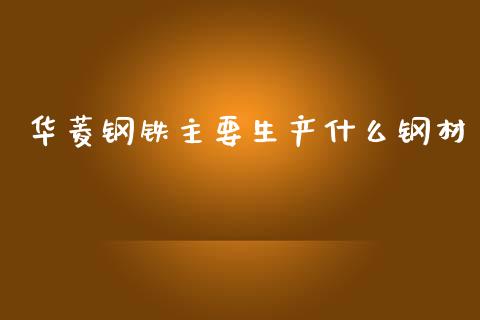 华菱钢铁主要生产什么钢材_https://www.lcjysmgs.com_恒生指数直播_第1张
