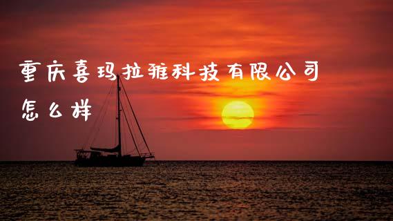 重庆喜玛拉雅科技有限公司怎么样_https://www.lcjysmgs.com_黄金期货直播喊单_第1张