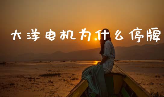 大洋电机为什么停牌_https://www.lcjysmgs.com_恒生指数直播_第1张