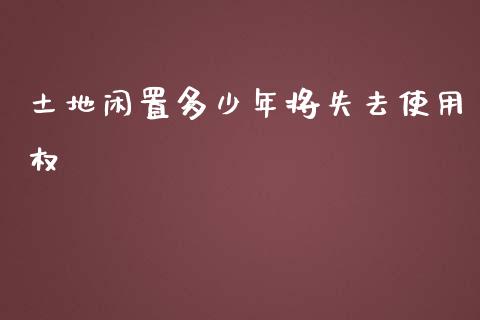 土地闲置多少年将失去使用权_https://www.lcjysmgs.com_恒生指数直播_第1张