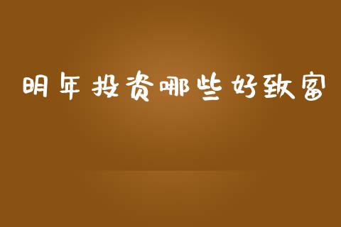 明年投资哪些好致富_https://www.lcjysmgs.com_恒生指数直播_第1张