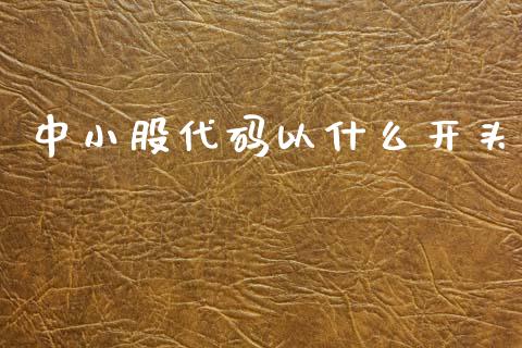 中小股代码以什么开头_https://www.lcjysmgs.com_德指行情直播_第1张