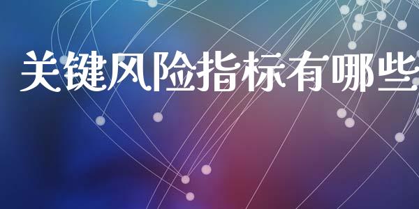 关键风险指标有哪些_https://www.lcjysmgs.com_德指行情直播_第1张