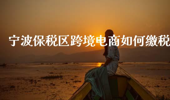 宁波保税区跨境电商如何缴税_https://www.lcjysmgs.com_黄金期货直播喊单_第1张
