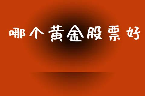 哪个黄金股票好_https://www.lcjysmgs.com_黄金期货直播喊单_第1张