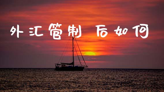 外汇管制 后如何_https://www.lcjysmgs.com_黄金期货直播喊单_第1张