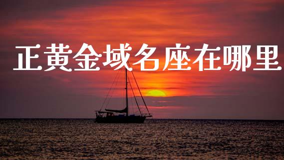 正黄金域名座在哪里_https://www.lcjysmgs.com_恒生指数直播_第1张