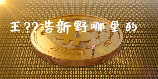 王??浩新野哪里的_https://www.lcjysmgs.com_黄金期货直播喊单_第1张