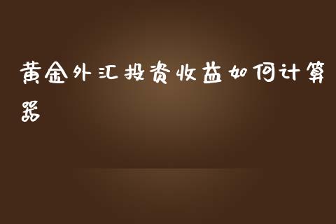 黄金外汇投资收益如何计算器_https://www.lcjysmgs.com_恒生指数直播_第1张