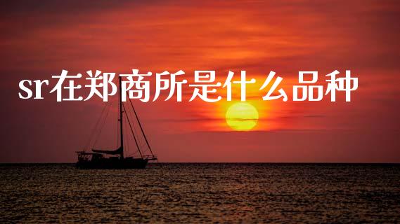 sr在郑商所是什么品种_https://www.lcjysmgs.com_恒生指数直播_第1张