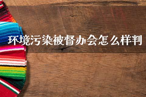 环境污染被督办会怎么样判_https://www.lcjysmgs.com_恒生指数直播_第1张